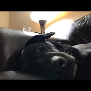 Meet your Posher, Will